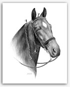 Tennessee Walker Walking Horse art prints drawing gifts decor