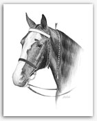 Tennessee Walker show horse Art prints