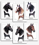 Tennessee Walker horse art prints paintings TWH