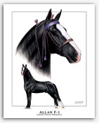 Allan F-1 Tennessee Walker foundation sire Walking horse art pictures