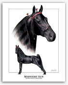 Midnight Sun Tennessee Walker horse art pictures Walking Horse painting