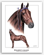 Wilson's Allen - Tennessee Walker stallion stud horse art portraits