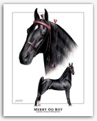 Merry Go Boy - Famous Tennessee Walker horse art prints Walking