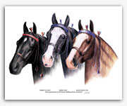 Tennessee Walker horse art prints Merry Go Boy Merry Boy Roan Allen F-38
