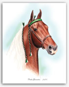Pride's Generator Tennessee Walker horse art portraits Walking Horse gifts