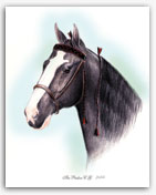 The Pusher C.G. Tennessee Walker walking horse art pedigree pictures