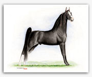 The Pusher CG Tennessee Walker horse art prints paintings