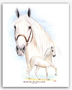 Mar de Plata LaCE Paso Fino horse art paintings prints