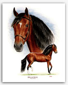Hilachas Paso Fino horse art paintings
