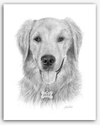 Golden Retriever dog art goldens paintings of dogs