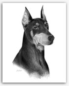 Doberman dog art paintings prints dobie dobe